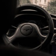 Tiggo_Pilot